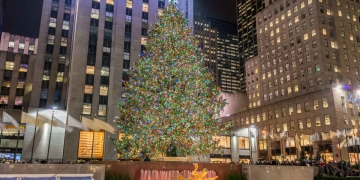 Where did the Christmas tree at Rockefeller Center in New York come from this year|Christmas tree Rockefeller Center