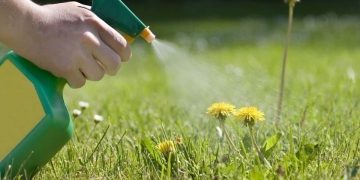 How to make a homemade herbicide|homemade herbicide