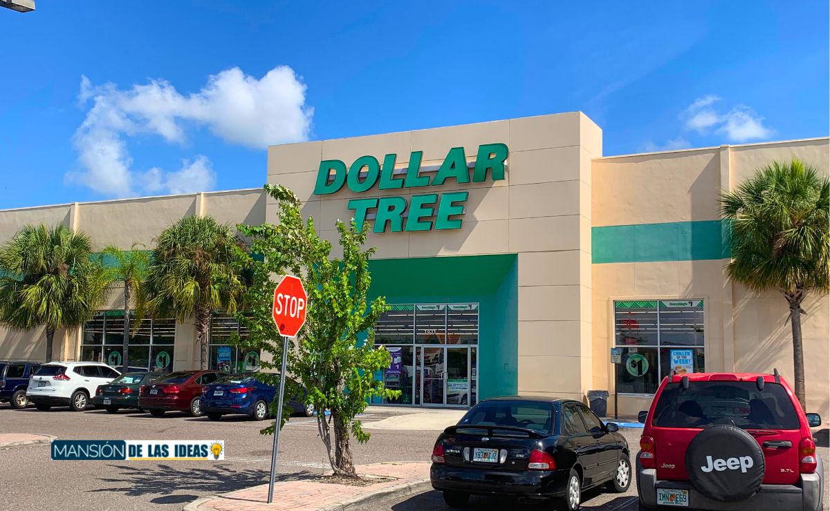 These rugs and mats from Dollar Tree you'll love and head to buy