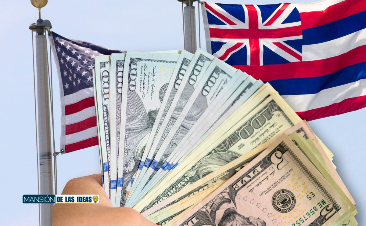 Hawaii DSNAP benefits for Maui Fires Affected Families