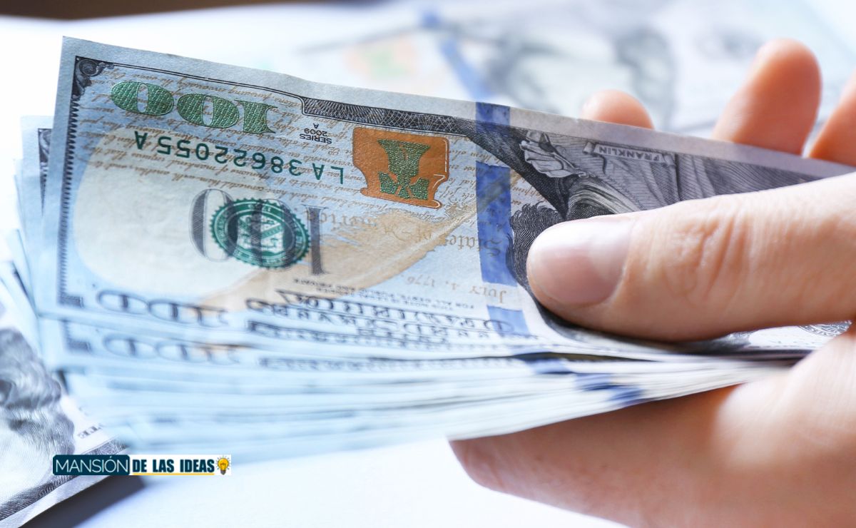 SNAP Benefits in New York Learn to Recertify Food Stamps