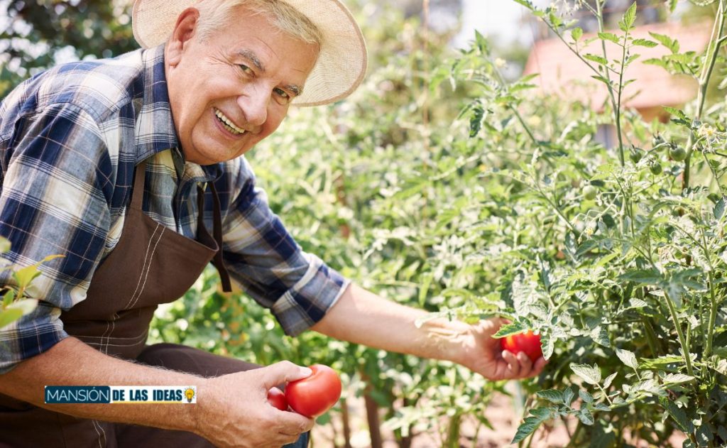 New Social Security Changes Now in Effect Will You Be Hit?