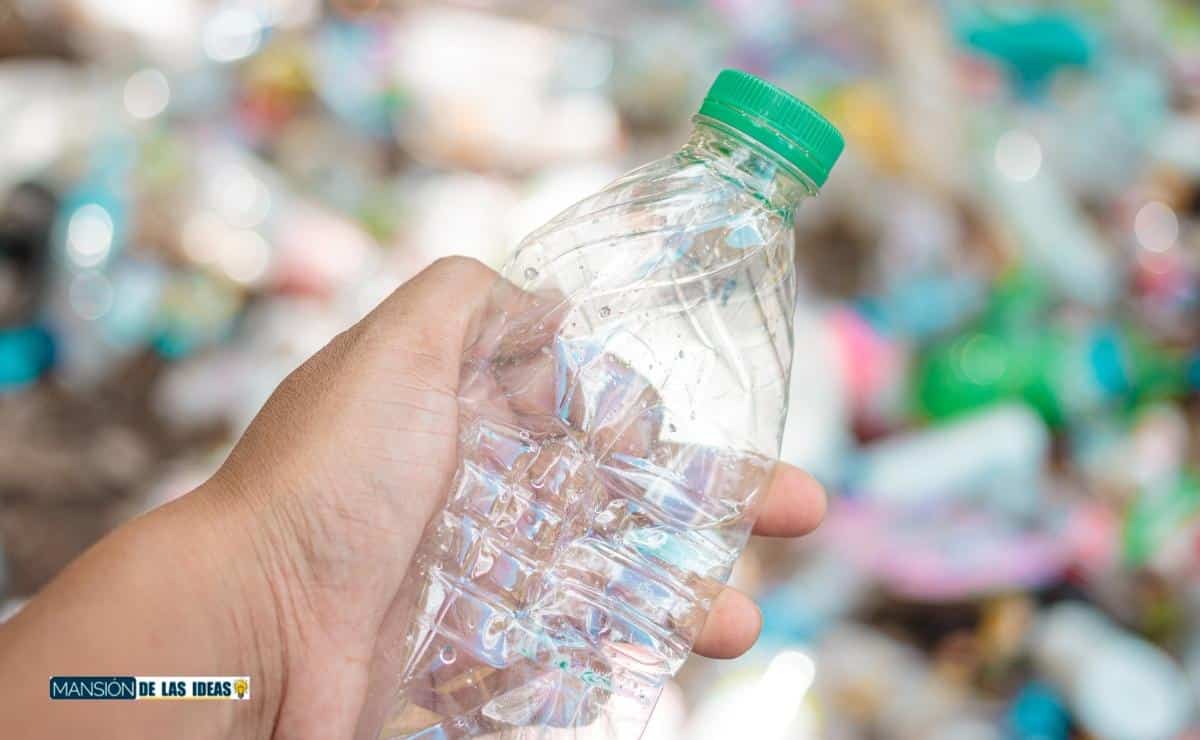 how to reuse plastic bottles|plastic bottles|pots plastic bottles|plastic bottle pen|plastic bottle lamp|how to recycle plastic bottles