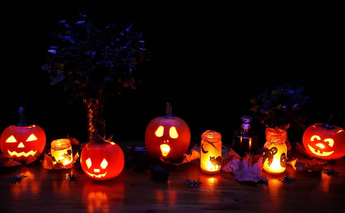 Vacation for Halloween? Don’t forget these household chores before leaving home|