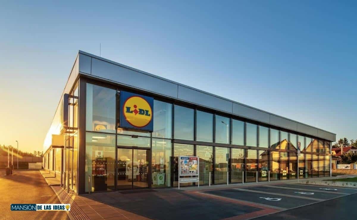 Pool and beach games from Lidl||Dominoes set for the Lidl swimming pool|Dice games for the pool of Lidl|Petanque game for the pool of Lidl