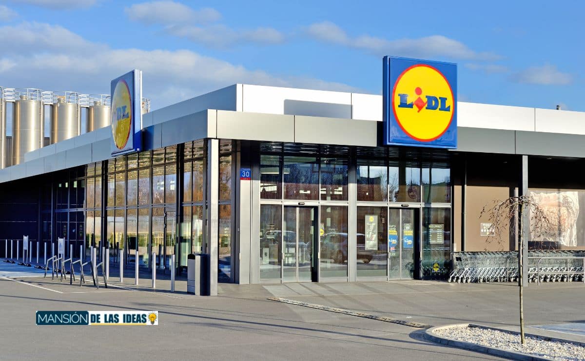 Lidl recalls one of its Christmas products|Lidl recalls one of its Christmas products