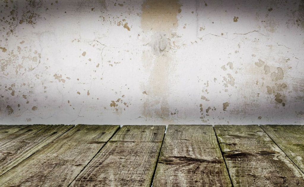 mold stains cleaning|baking soda clean|ventilation ventilation health esthetics cleaning|clean wall bleach