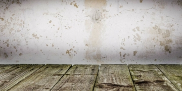 mold stains cleaning|baking soda clean|ventilation ventilation health esthetics cleaning|clean wall bleach