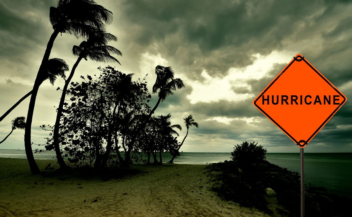 Hurricane Food Stamps Florida 2024 Roz Miriam