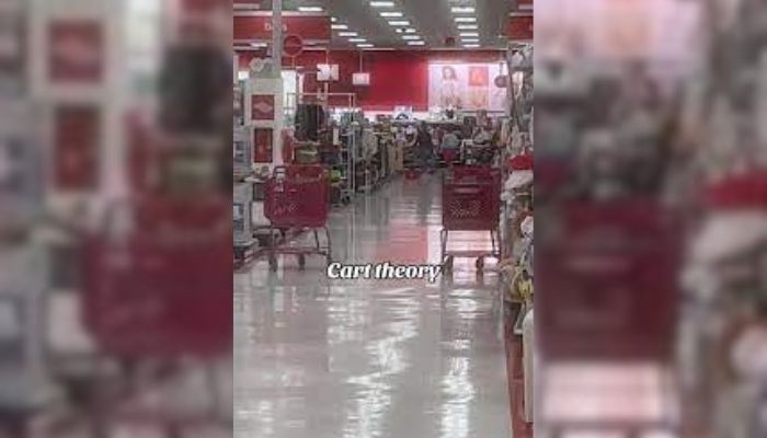 target abandoned carts theory tiktok video