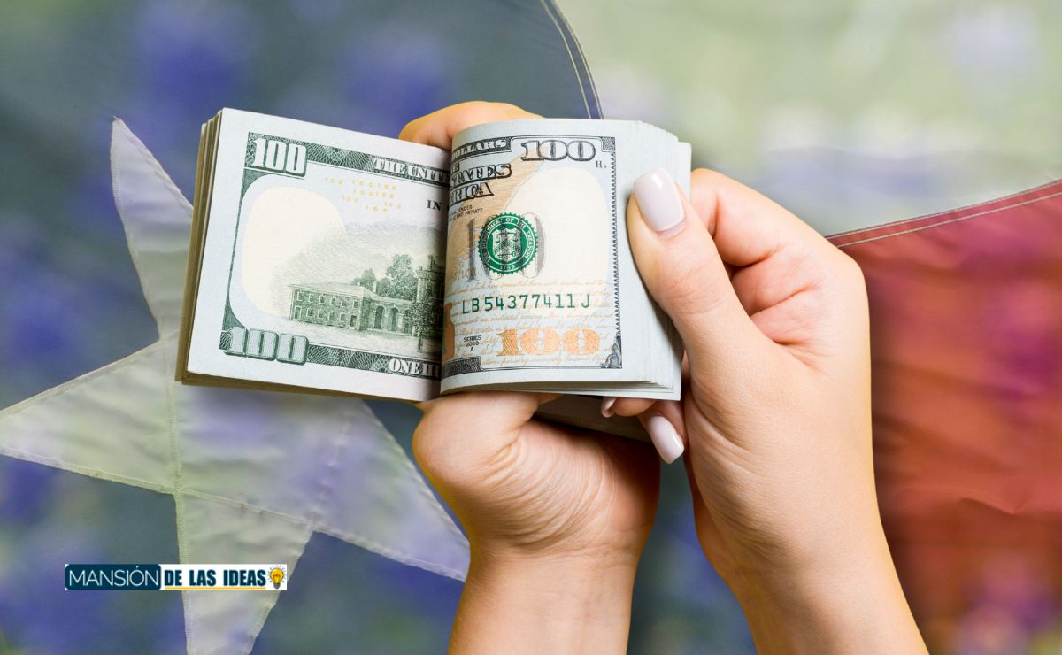 November 2023 SNAP Benefits Recertification in Texa