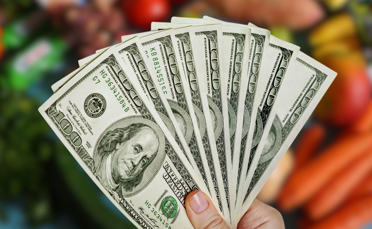 Minimum Snap Benefits Proposed to Be 100 in This US State