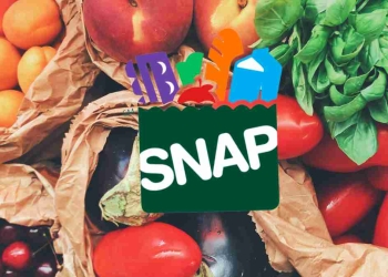 December-SNAP-Payment-Details-at-a-Glance-1