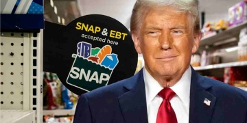 Millions Lose Food Aid as SNAP Funds Run Out