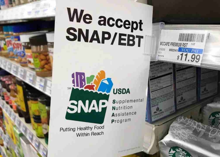 New SNAP Payments in Florida 2025