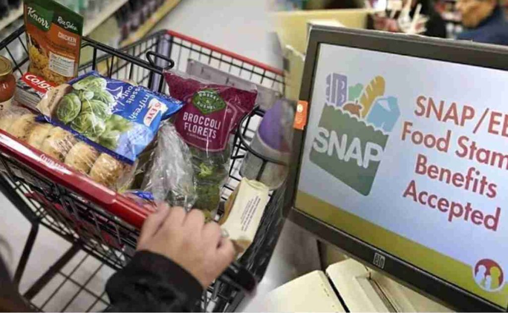 SNAP benefits in November $187 average payment and rising food costs