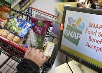 SNAP benefits in November $187 average payment and rising food costs