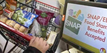 SNAP benefits in November $187 average payment and rising food costs