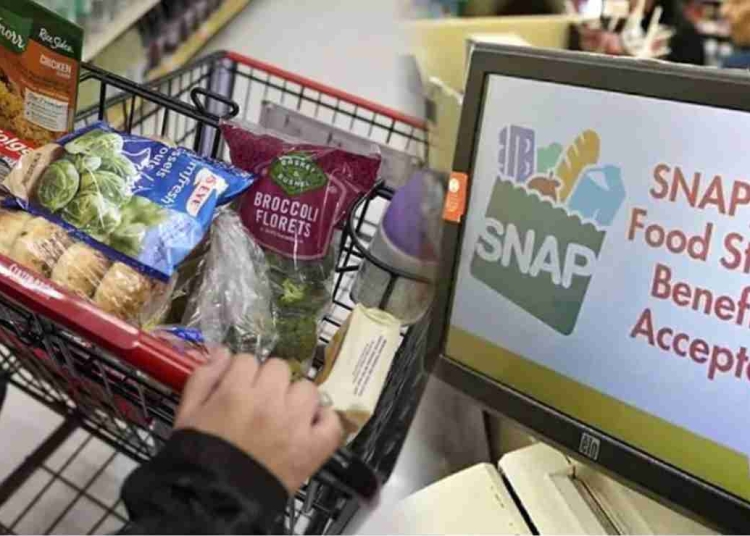 SNAP benefits in November $187 average payment and rising food costs