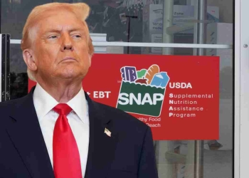 Major SNAP update for November