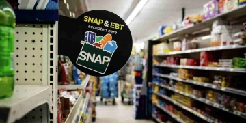 Maximum SNAP Benefit for December Updated EBT Payment Chart for 2024–2025
