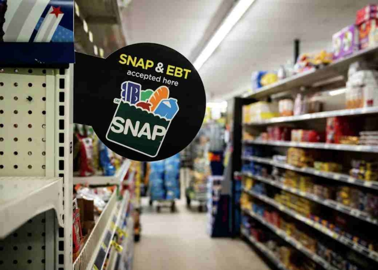 Maximum SNAP Benefit for December Updated EBT Payment Chart for 2024–2025