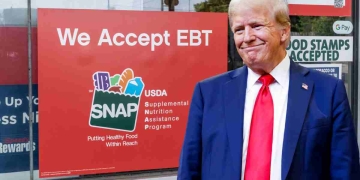 Maximum SNAP Benefit for a Family of Five Updated $1,183 Amount After the Shutdown