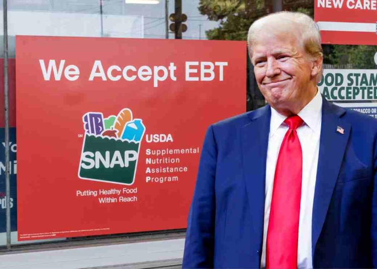 Maximum SNAP Benefit for a Family of Five Updated $1,183 Amount After the Shutdown