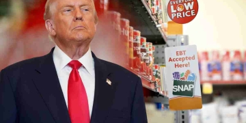 SNAP Benefits at Risk Cuts and Delays Begin This November