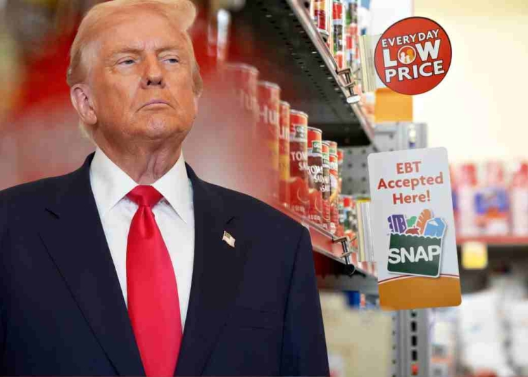 SNAP Benefits at Risk Cuts and Delays Begin This November