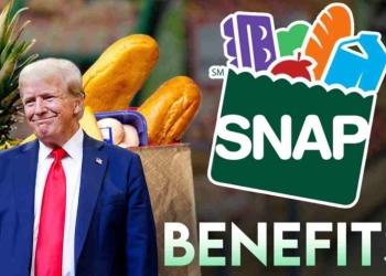SNAP Payments After the Shutdown When Your Benefits Will Arrive