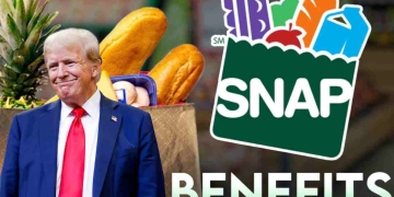SNAP Payments After the Shutdown When Your Benefits Will Arrive