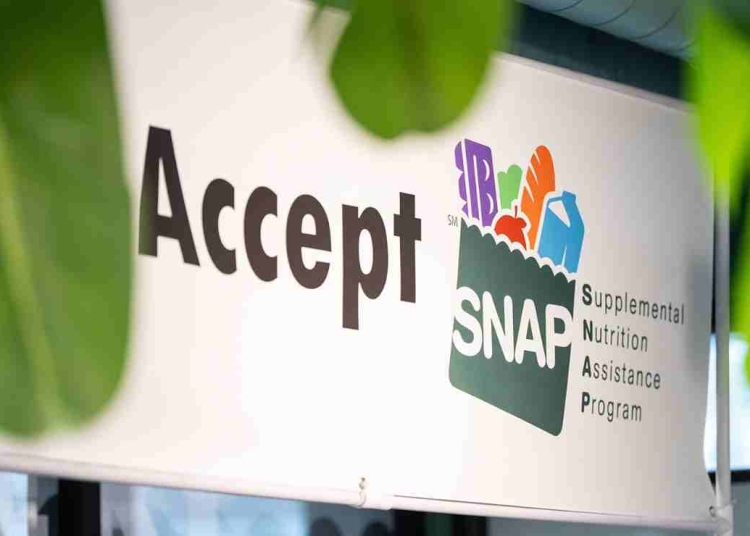 SNAP and Social Security payment schedule November 2025