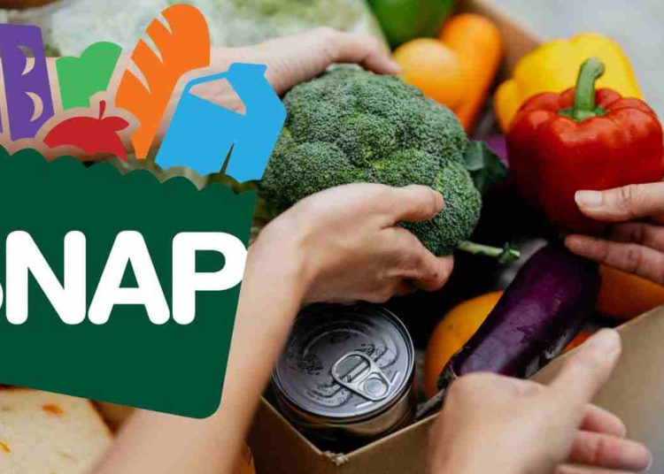 New SNAP Restrictions Junk-Food Purchases to End in 2026