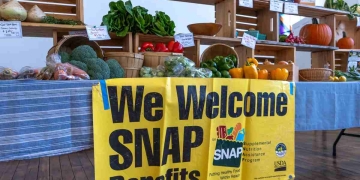 Idaho SNAP Benefits Changes Coming in 2026