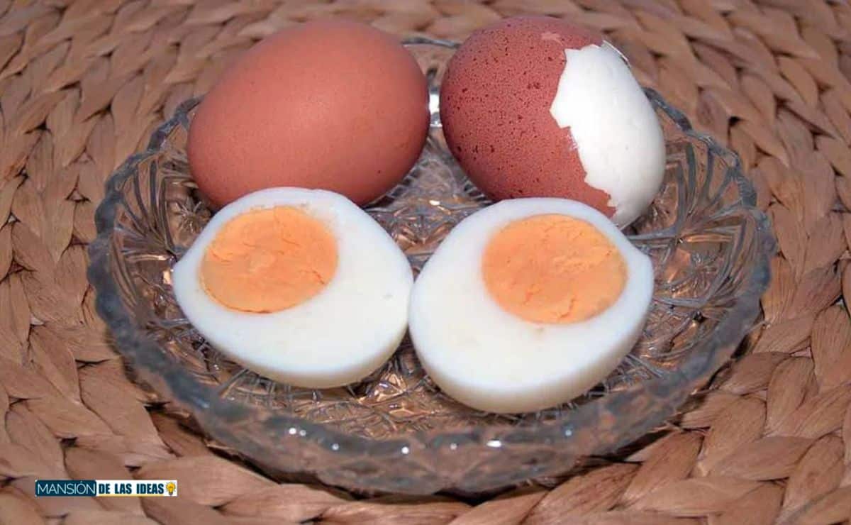 鍔 Puñalada Frontera ▷ Cómo hacer un huevo duro perfecto 【 2023 】