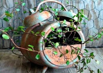 pots, -recycling, -plants, -alarm