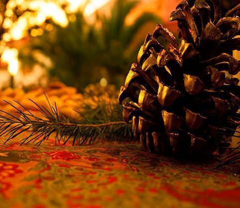 Christmas highlighted -pine-pineapple