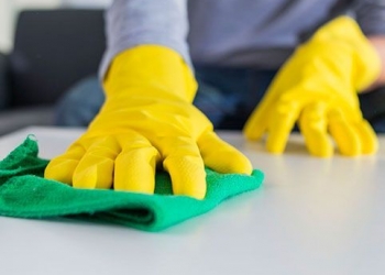 healthy home cleaning