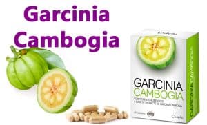 Garcinia-Cambogia-Mercadona-quemagrasa