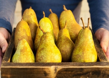 Ripe pears are for after exercise