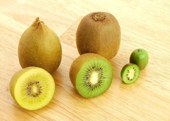 Types of kiwis that exist, discover the benefits of each one