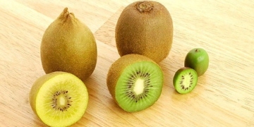Types of kiwis that exist, discover the benefits of each one