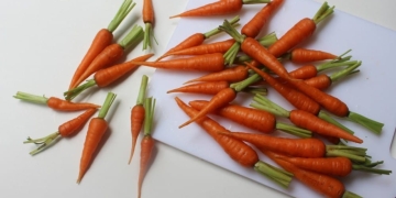 Zanahorias baby
