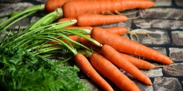 Beneficios que te aporta la zanahoria