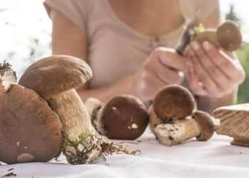 How you should clean a mushroom so as not to spoil it
