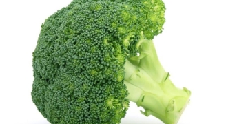 The 12 types of cancer that say helps prevent broccoli
