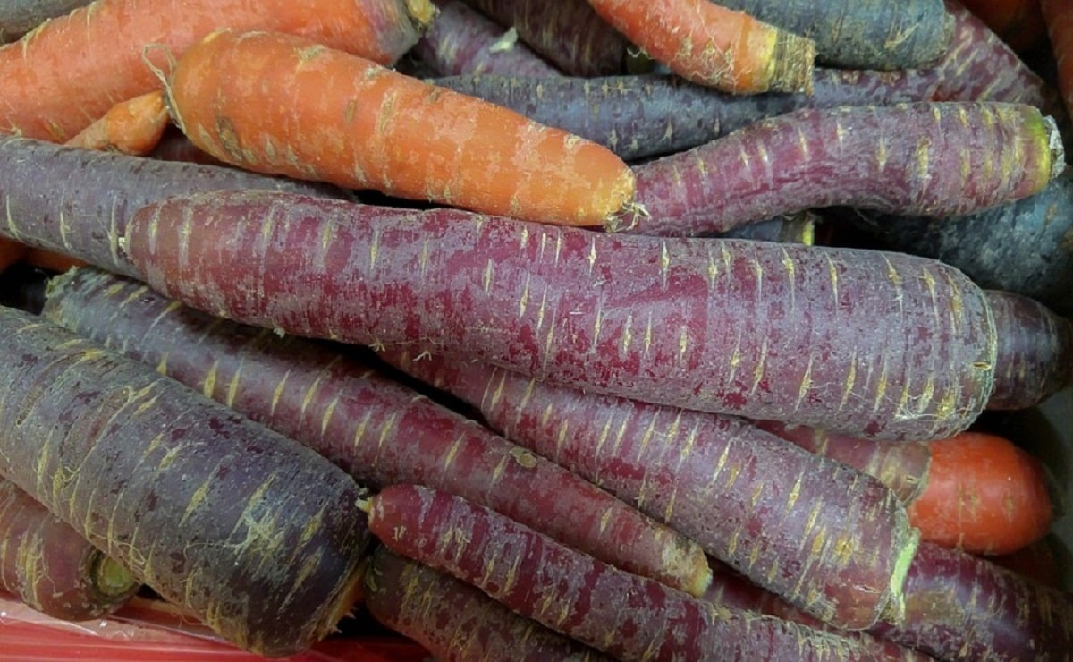 Por que las zanahorias moradas son buenas - Top beneficios