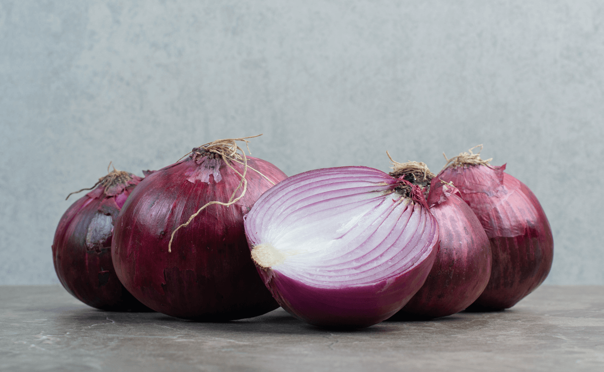 antioxidant antibacterial onion