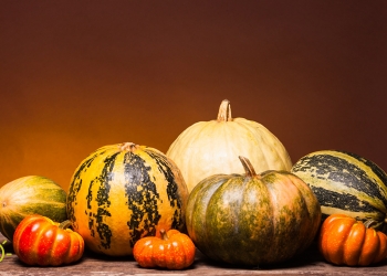 types-of-pumpkins